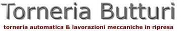 logo torneria butturi